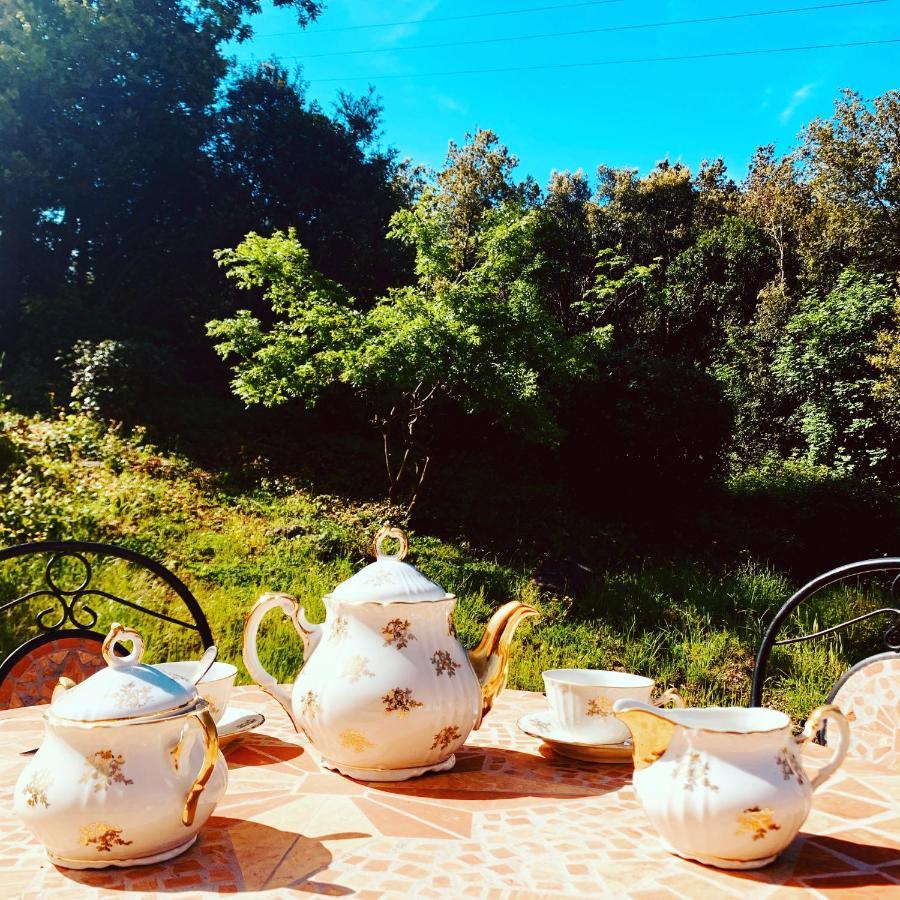 La Fucinaia Pet Friendly Adults Only Bed & Breakfast *