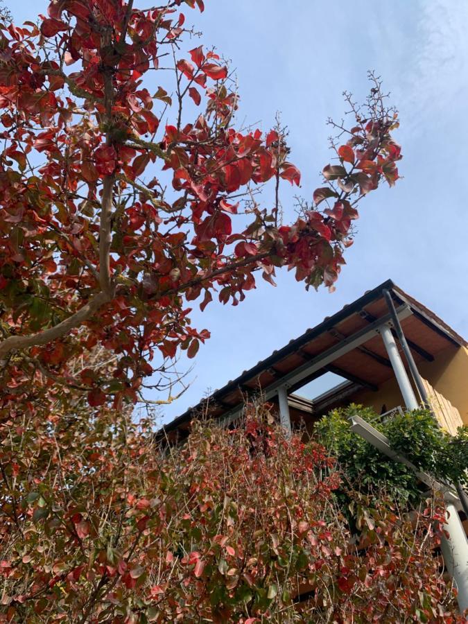 La Fucinaia Pet Friendly Adults Only
