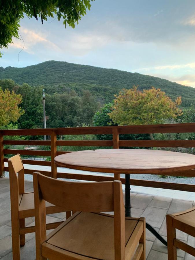 La Fucinaia Pet Friendly Adults Only Bed & Breakfast Campiglia Marittima